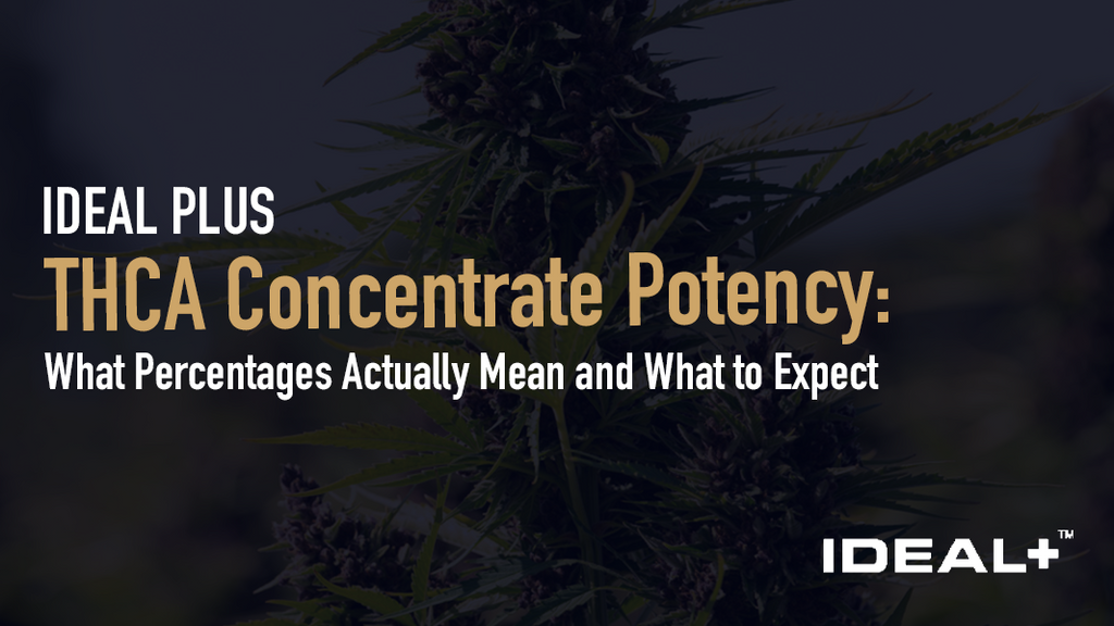 This guide explains THCA potency percentages, what they mean in practice, and what to expect from high-potency THCA concentrates in 2026.