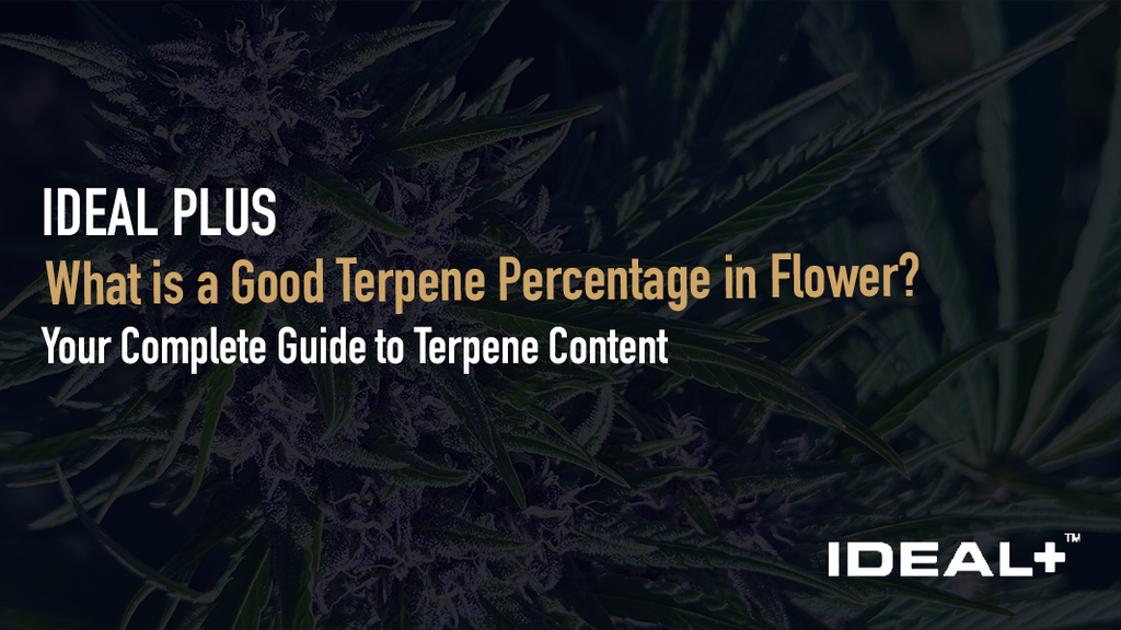 What is a Good Terpene Percentage in Flower?