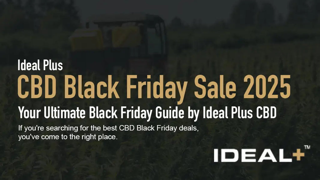CBD Black Friday Sale 2025 - Your Ultimate Black Friday Guide by Ideal Plus CBD