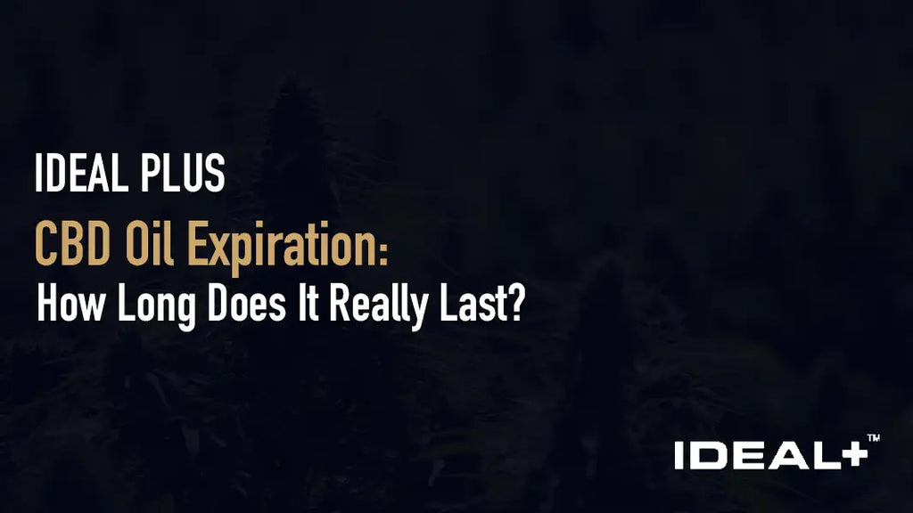 CBD Oil Expiration: How Long Does It Really Last?