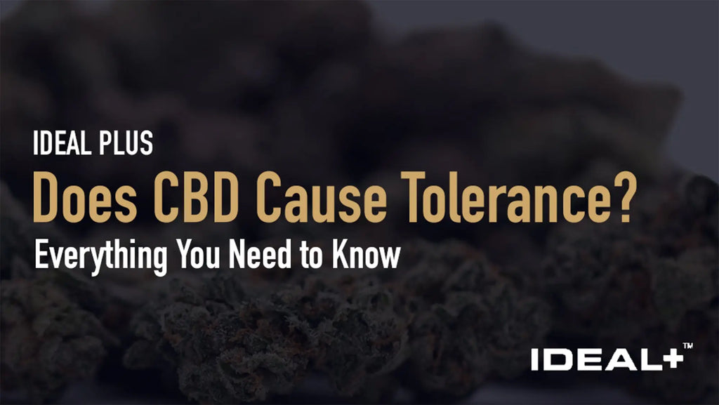 Does CBD Cause Tolerance?