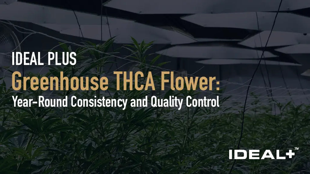 Year-Round Consistency and Quality Control