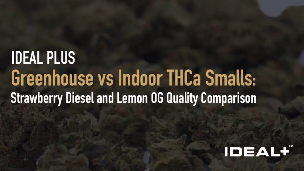 Greenhouse vs Indoor THCa Smalls