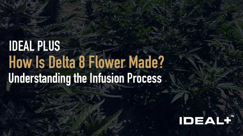 How Is Delta 8 Flower Made?