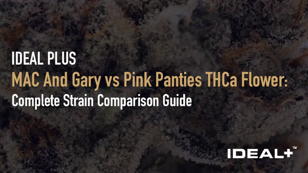 MAC And Gary vs Pink Panties THCa Flower