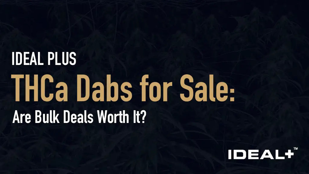 THCa Dabs for Sale: Are Bulk Deals Worth It?