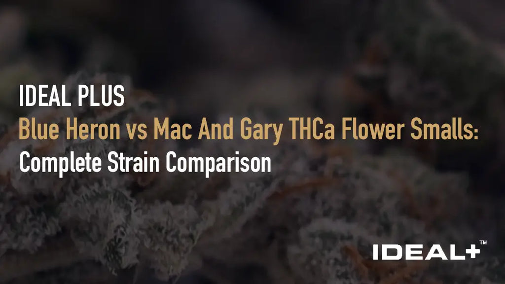 Blue Heron vs Mac And Gary THCa Flower Smalls