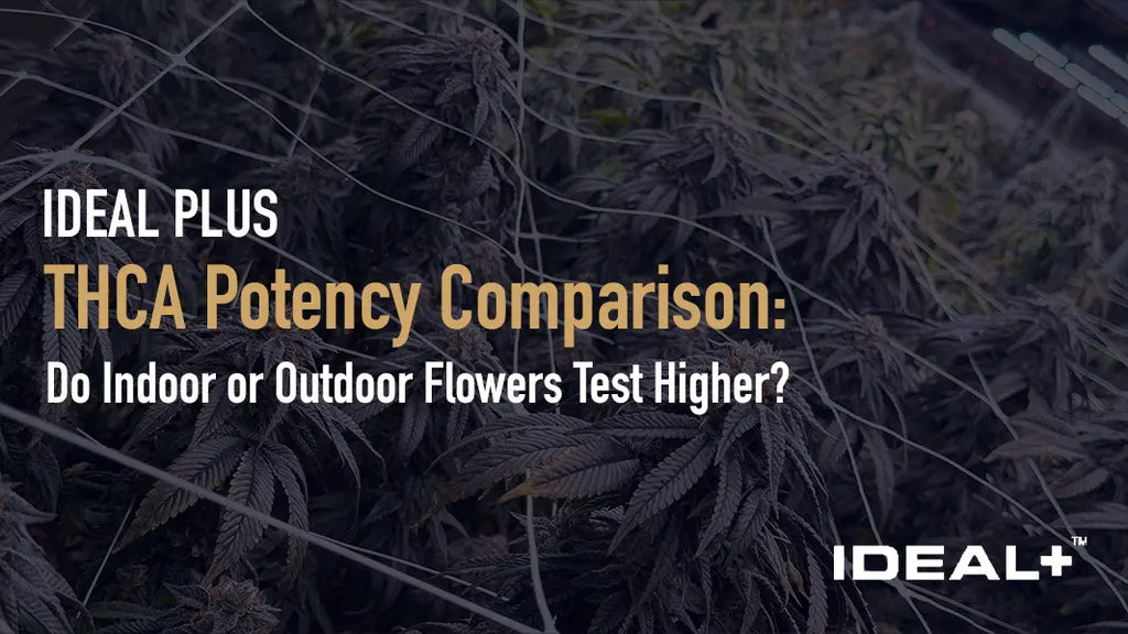 THCA Potency Comparison