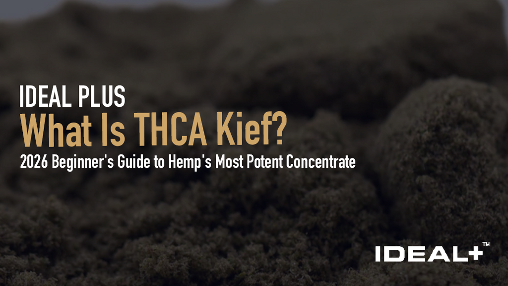 New to THCA kief? This beginner's guide explains exactly what THCA kief is, how it's made, what makes it so potent, and how to use it.