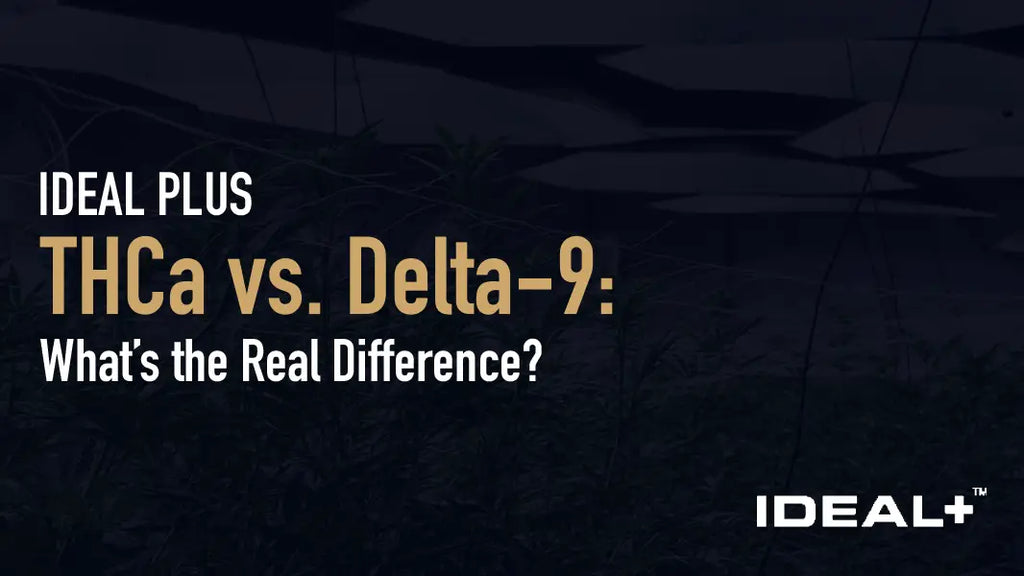 THCa vs. Delta-9: What’s the Real Difference?