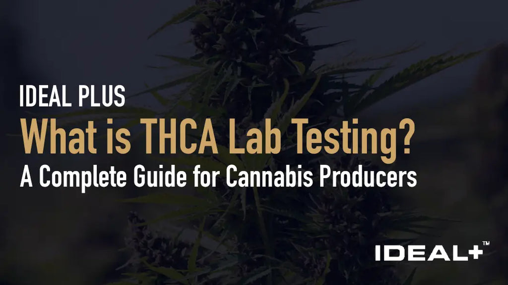What is THCA Lab Testing?