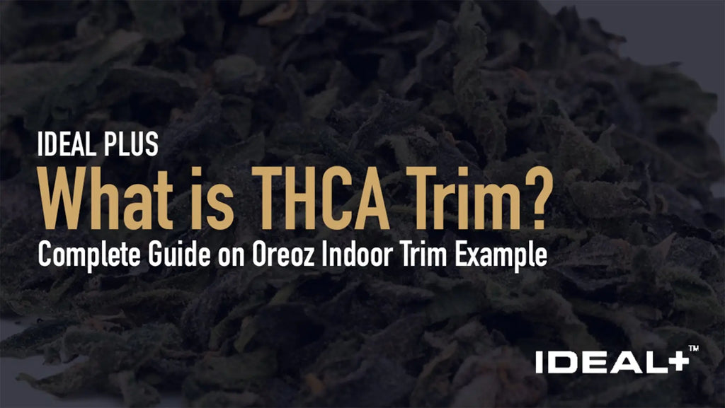 What is THCA Trim? 