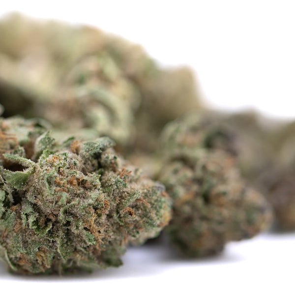 After Dark THCa Greenhouse Smalls