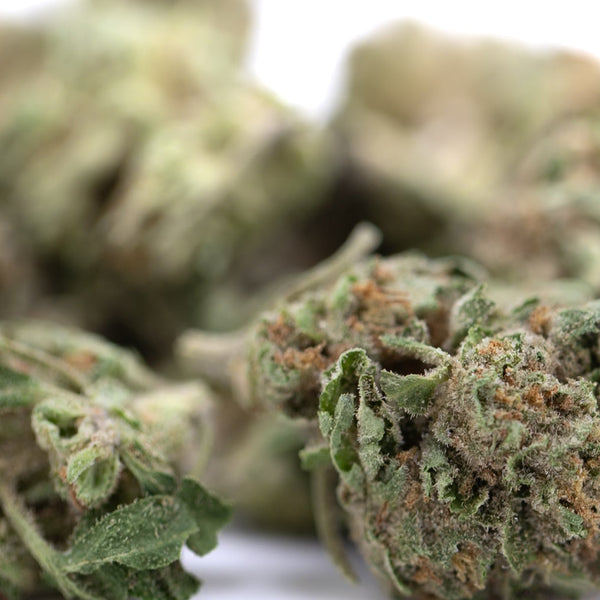 After Dark THCa Greenhouse Smalls Wholesale