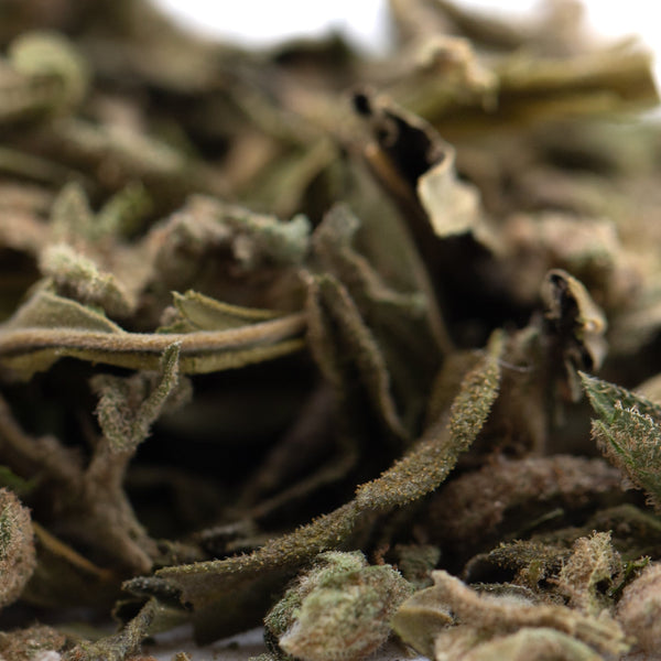 Banana OG Full-Term THCa Trim Wholesale