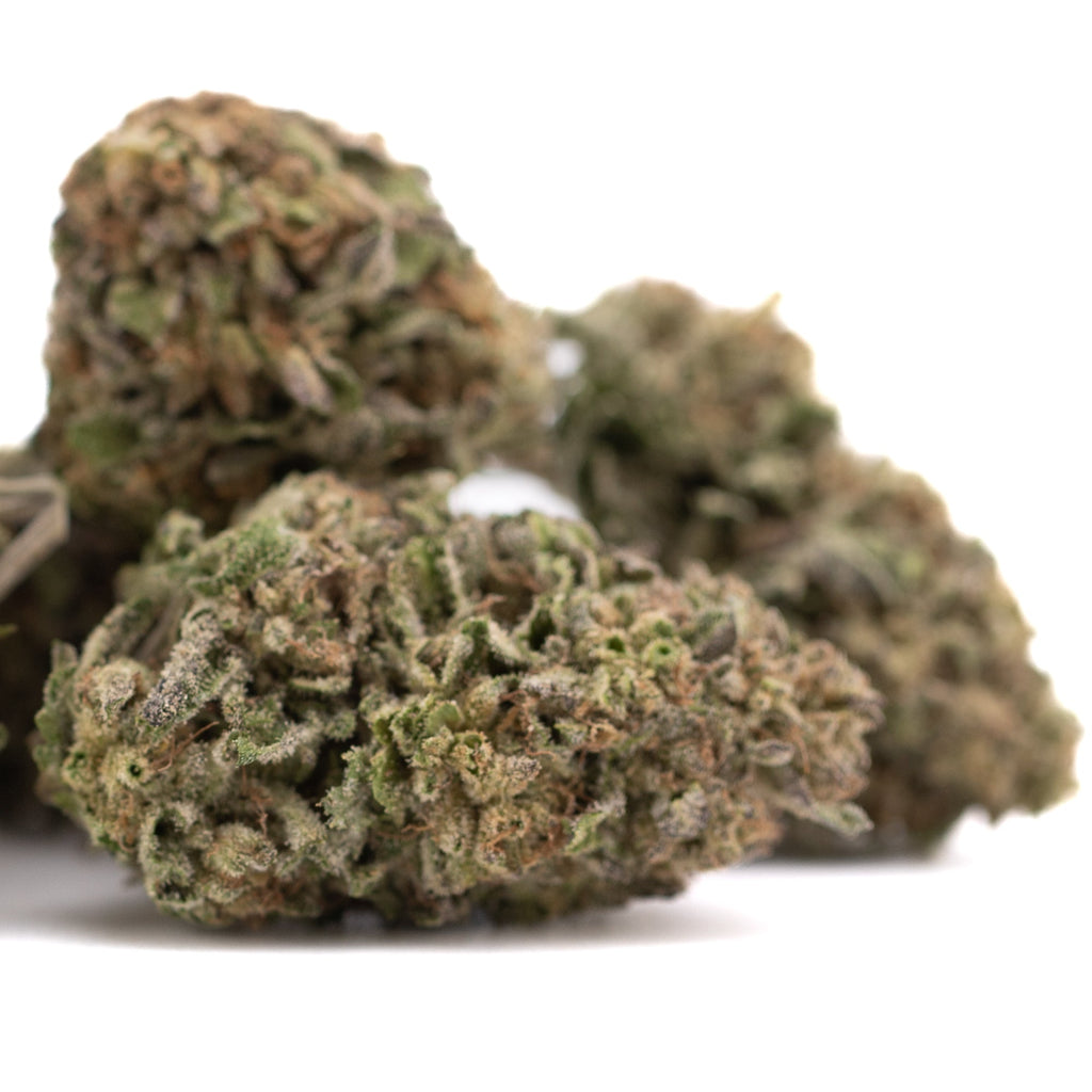 Bolor Tartz THCa Hemp Flower Greenhouse Wholesale