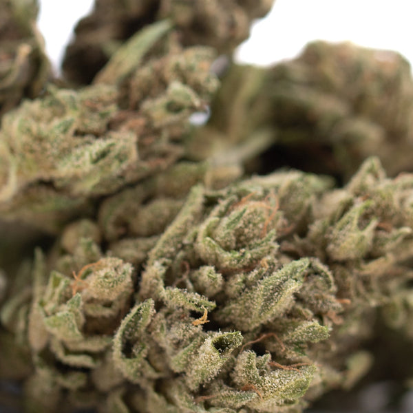 CBG Hemp Flower #2 Smalls