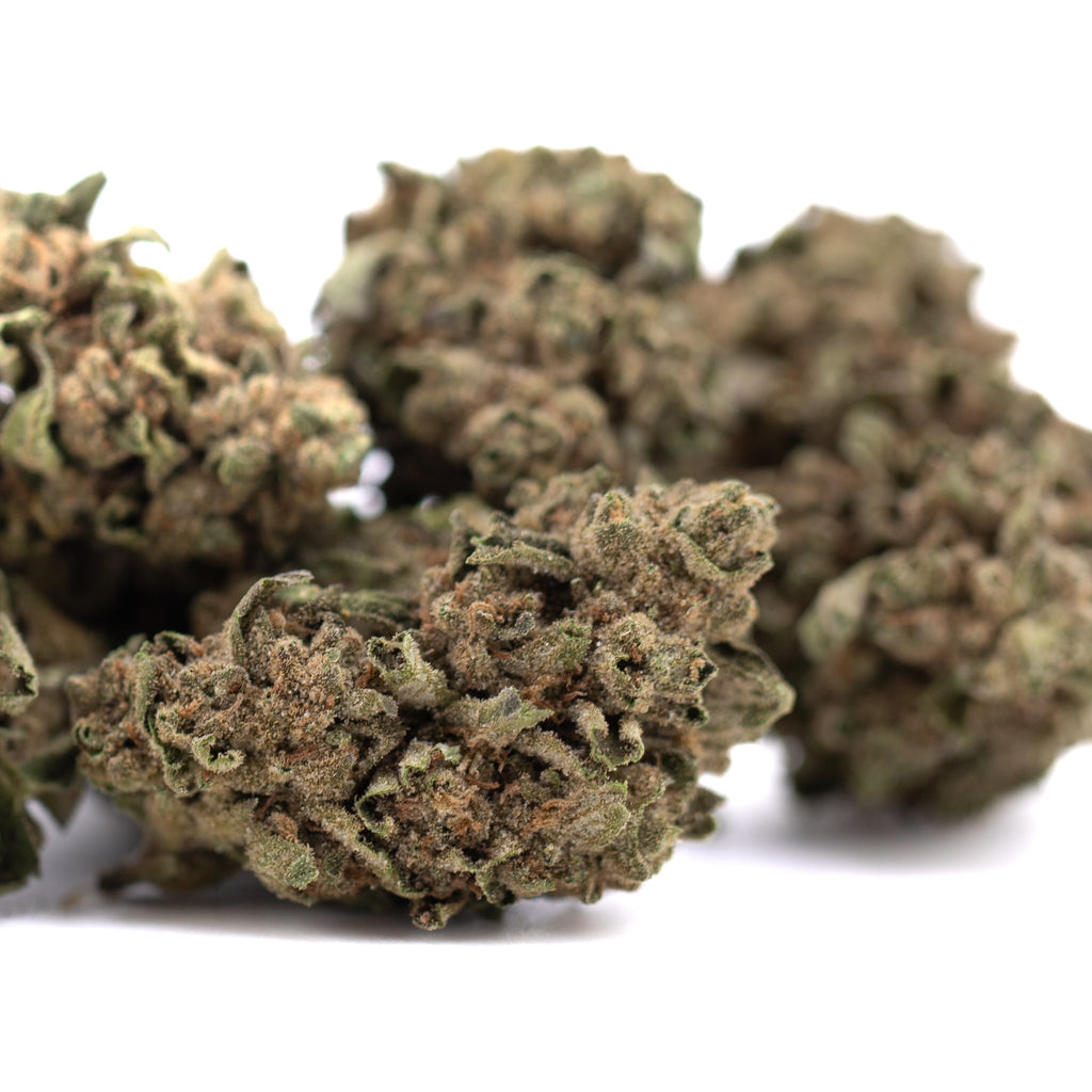 Canal Street Runtz THCa Hemp Flower Greenhouse Wholesale