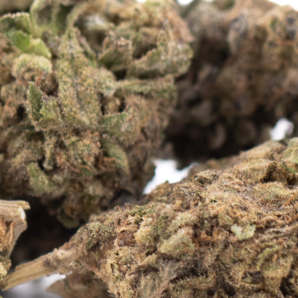 Cherry Truffle THCa Hemp Flower Greenhouse Wholesale