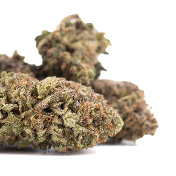 Cherry Truffle THCa Hemp Flower Greenhouse