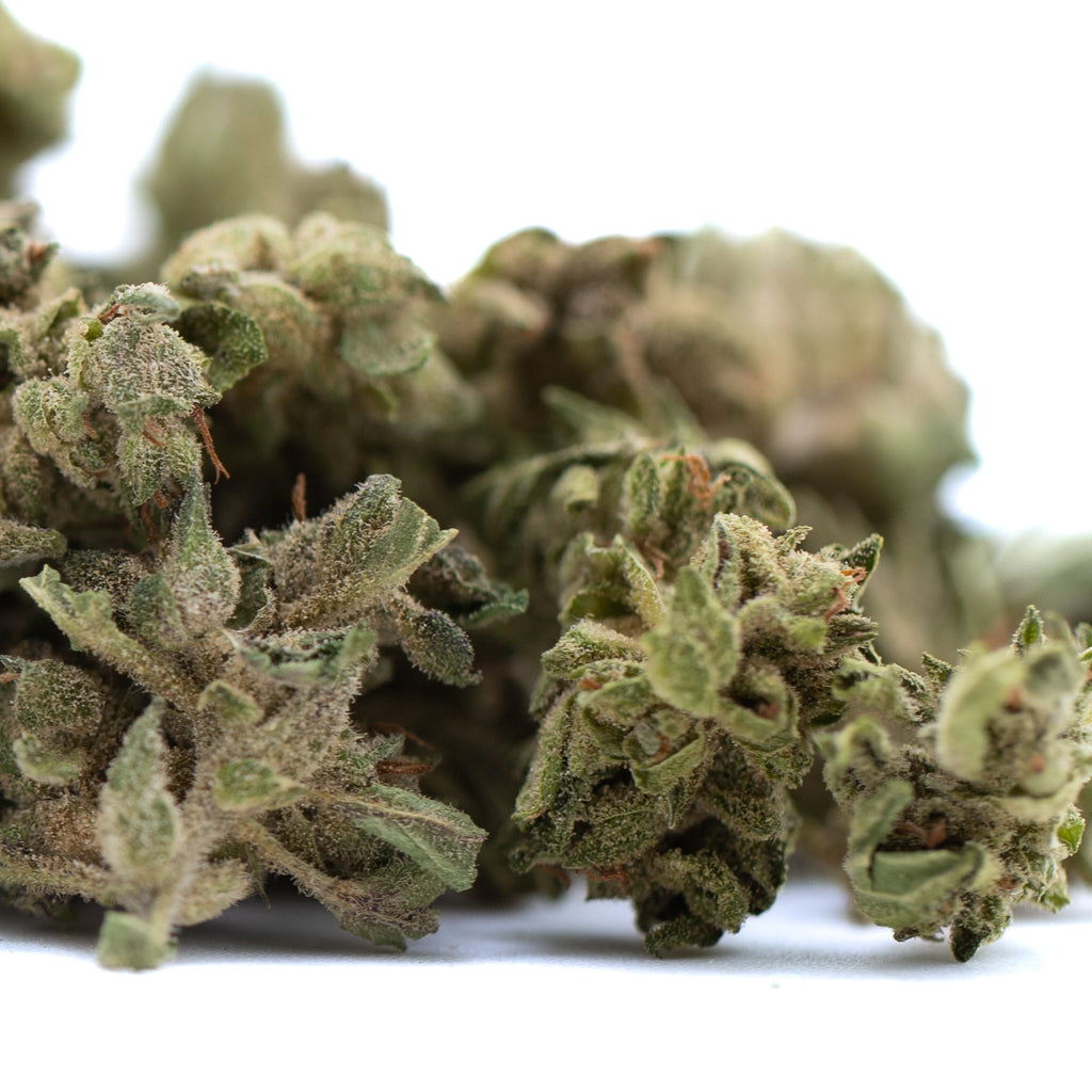 Glue CBD Hemp Flower Full-Term Smalls