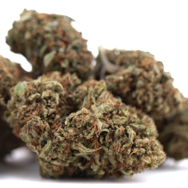 Lemon Octane CBD Full-Term Hemp Flower Wholesale