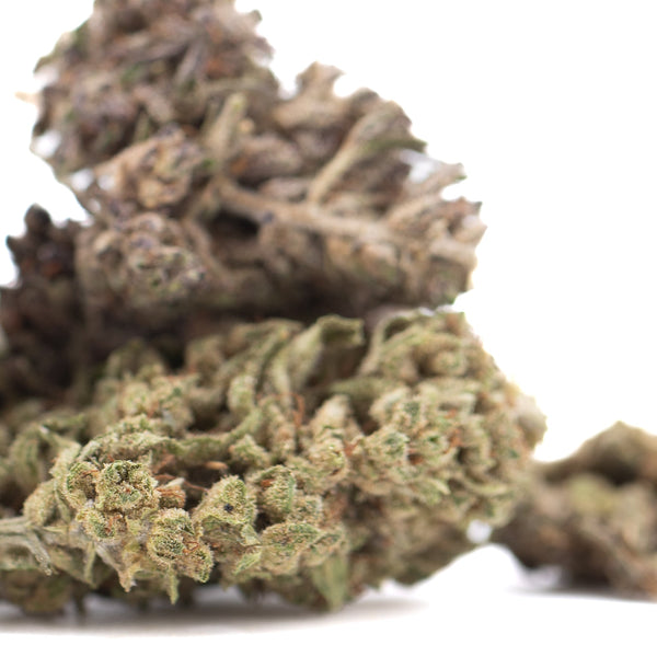 Magik CBD Hemp Flower Full-Term Wholesale
