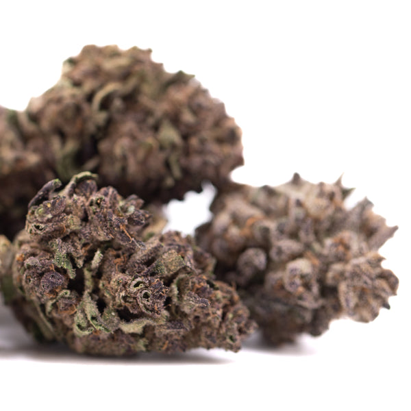 Purple Queen THCa Hemp Flower Greenhouse