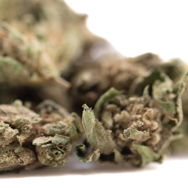 Royal OG CBD Full-Term Hemp Flower Smalls