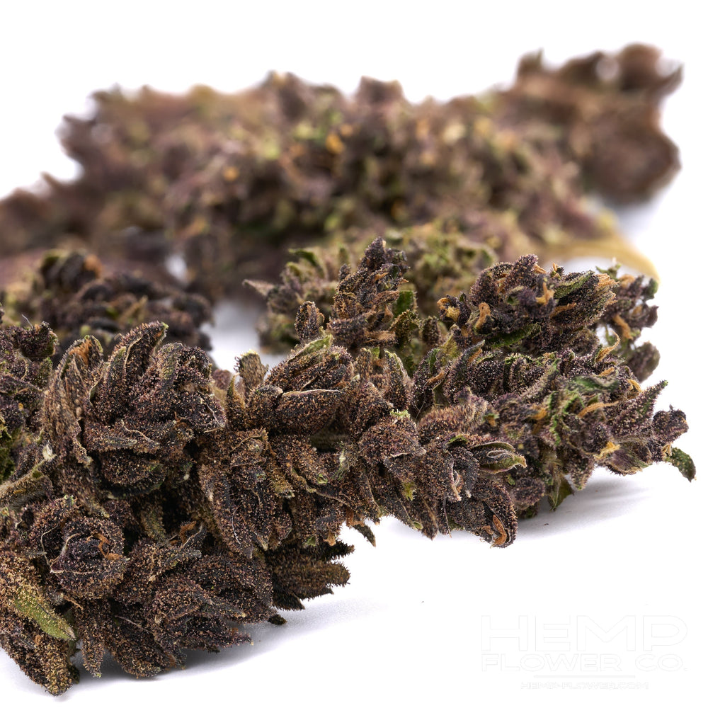 Dried dark indoor THCa hemp flower buds with purple hues for After Dark Indoor Wholesale