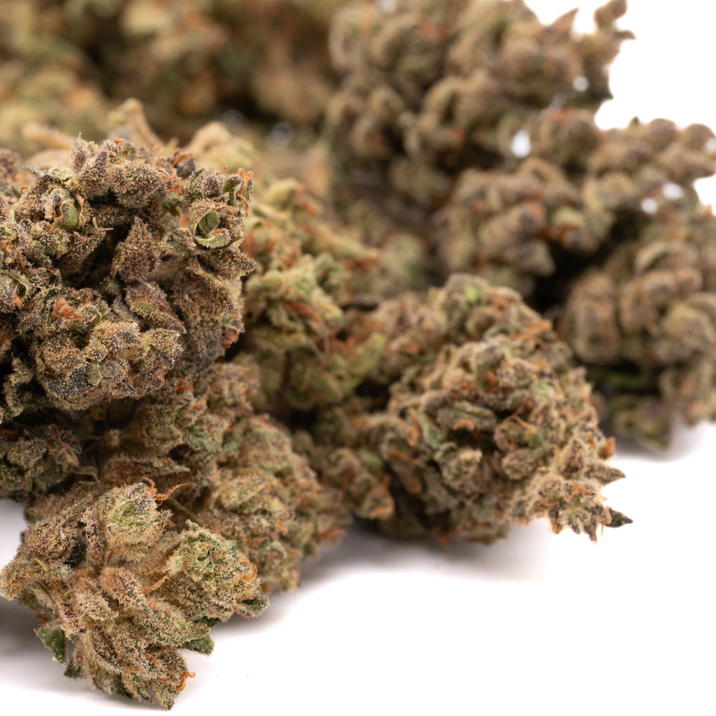 Dried Apricot CBD Hemp Flower with trichomes and orange hairs, ideal as thca flower or purple punch strain