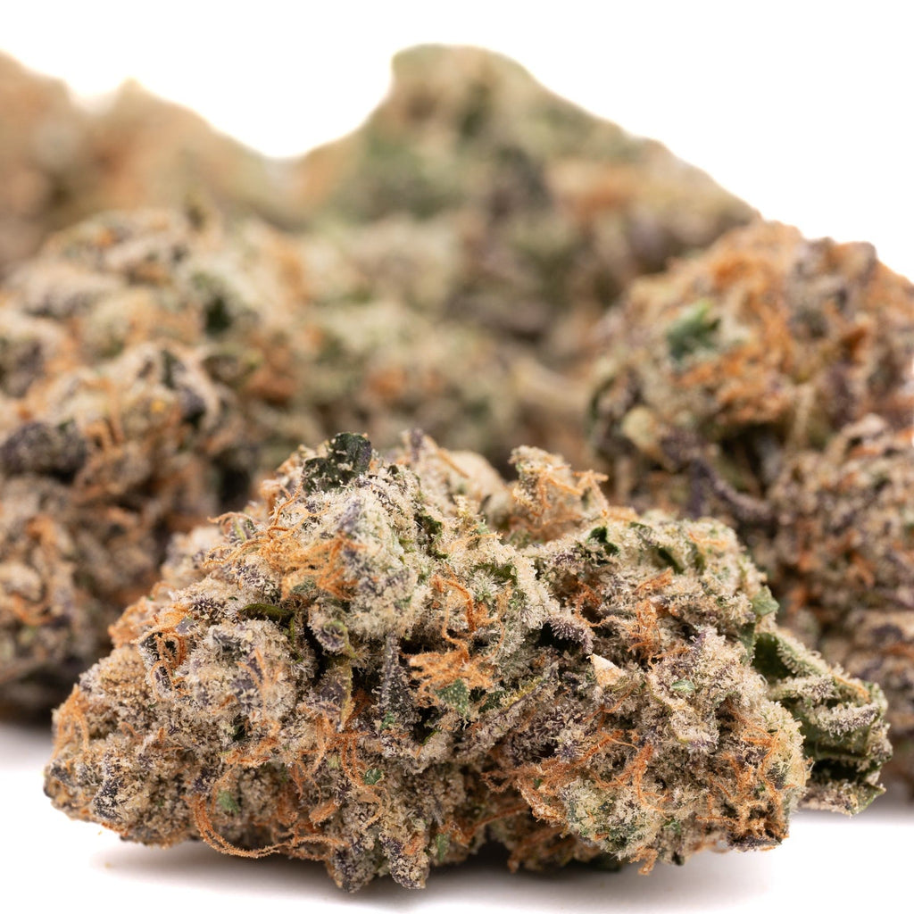 Cherry Vanilla Cookie Indoor THCa Flower - Plants