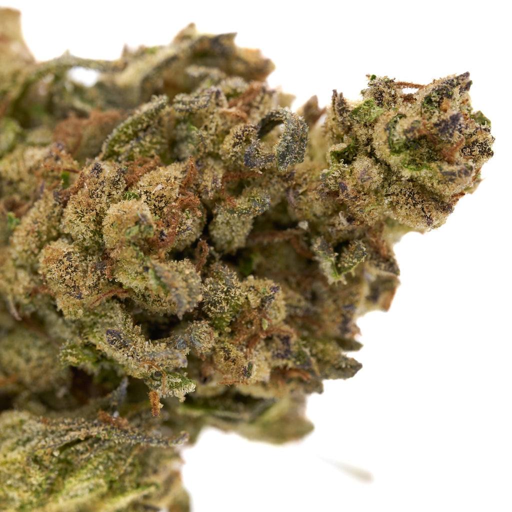 Dense Chimera THCa Hemp Flower showcasing vibrant trichomes and rich colors