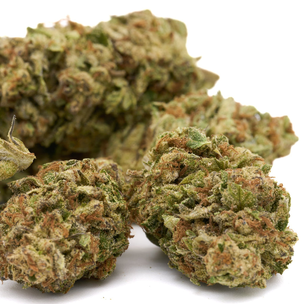 Cannabis flower buds of Chimera THCa Hemp Flower showcasing White Truffle strain