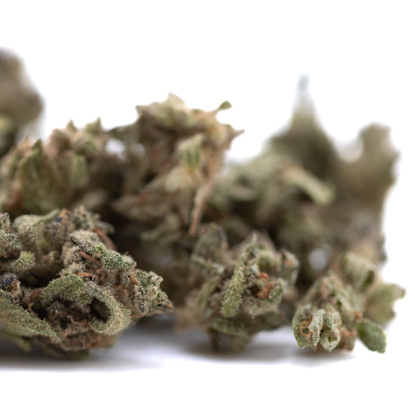 Premium Cream Caramel THCa Flower Smalls with dense trichomes