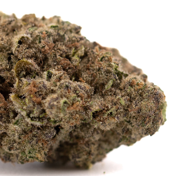 Daily Grape THCa hemp flower bud with purple green hues and frosty trichomes