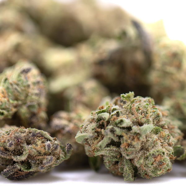 Premium DEA-4 THCa greenhouse smalls hemp flower with purple orange accents