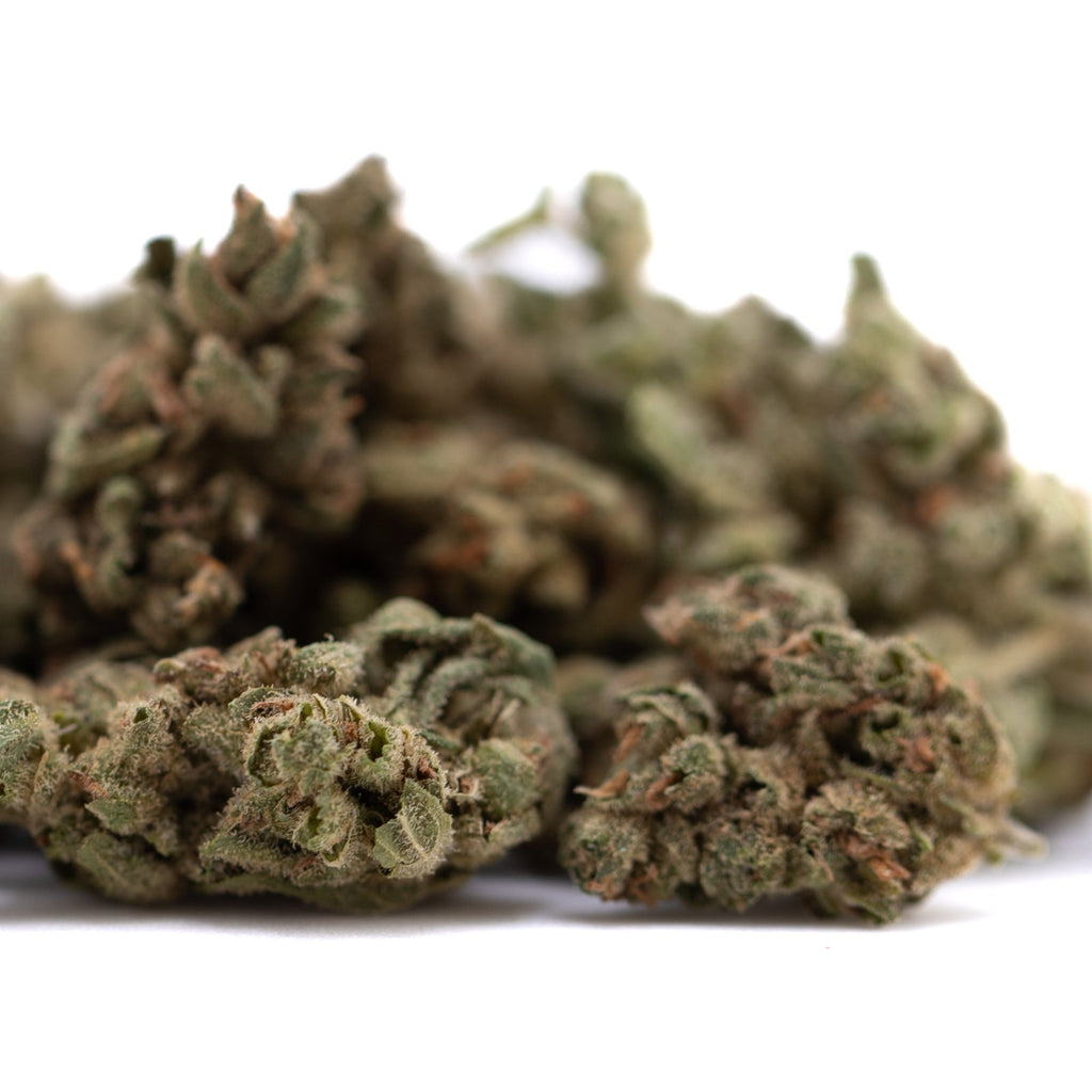 Premium Face Fat THCa Flower Smalls with trichomes and earthy aroma