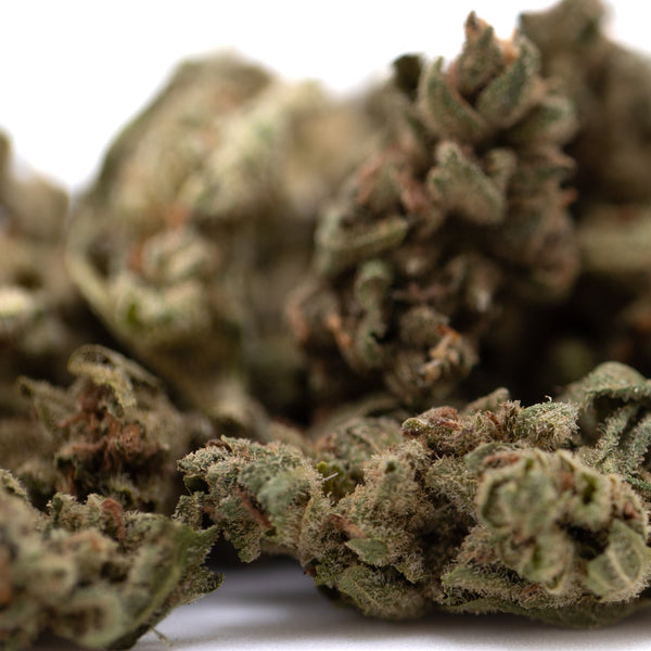 Premium Face Fat THCa Flower Smalls with dense green bud and trichomes