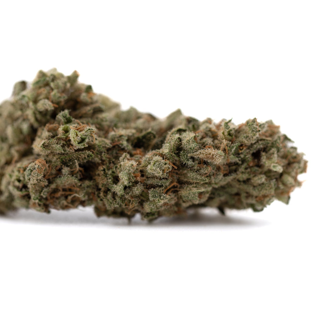 Premium Fog Dog organic THCa flower: green purple bud with dense trichomes