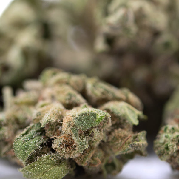 Blue Dream THCa flower smalls with green leaves and white trichomes