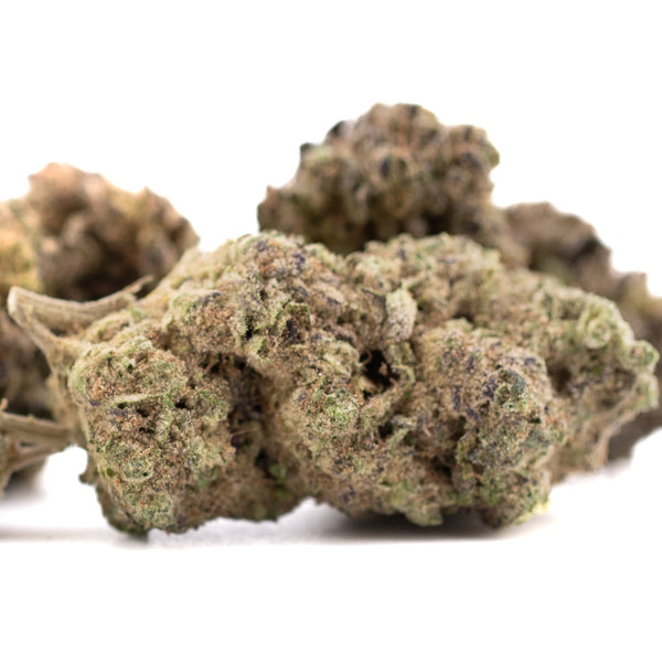 Premium green Gas Monkey hemp flower with dense trichomes and earthy aroma
