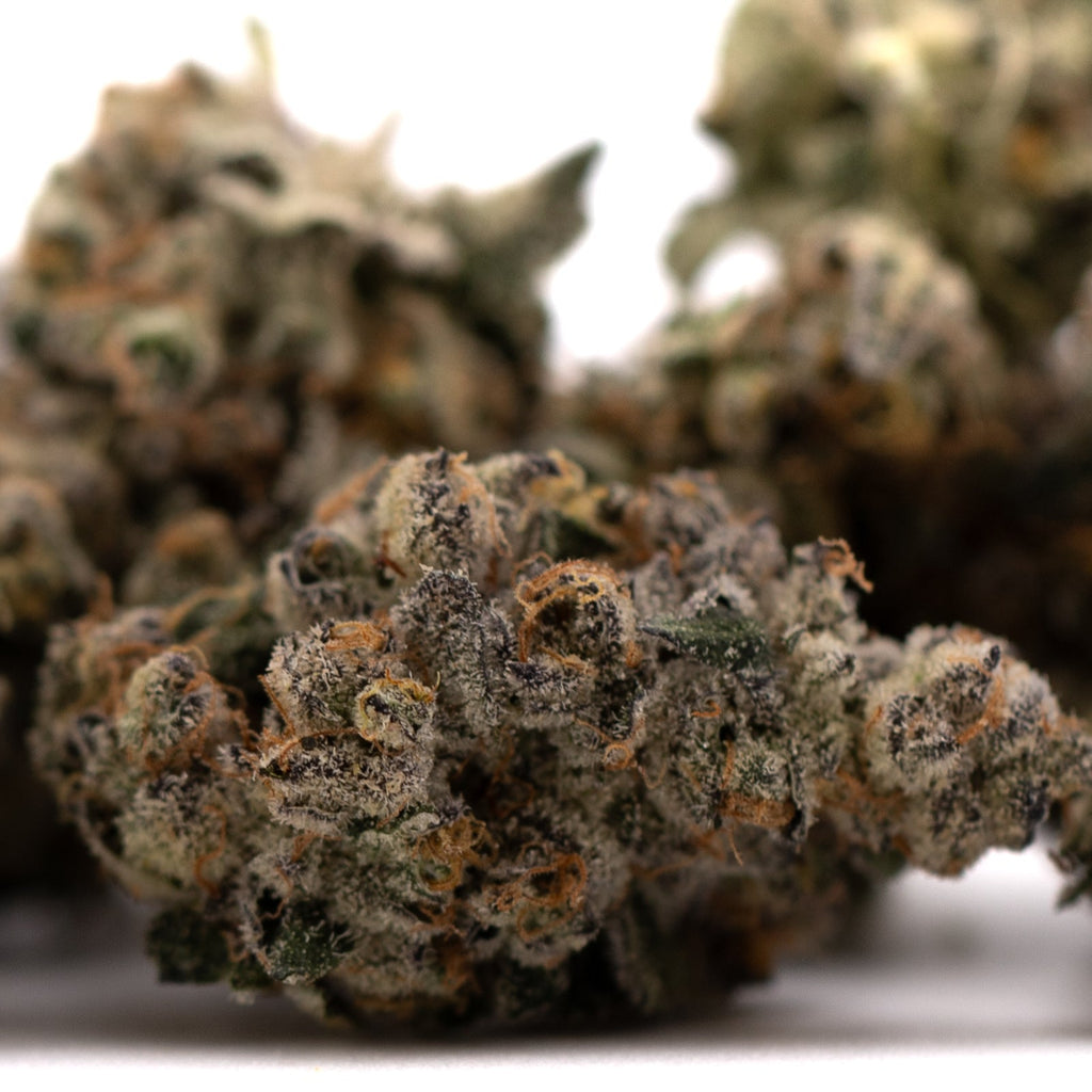 Dense, trichome-covered Green Crack indoor THCA flower buds for premium THCA flower use