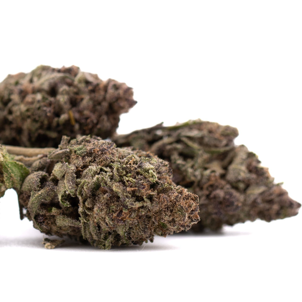 Halle Berry THCa hemp flower bud with super sweet earthy texture