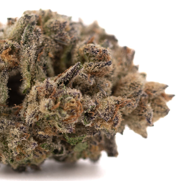 Hooch THCa hemp flower bud with green hues and trichomes by Street Guru