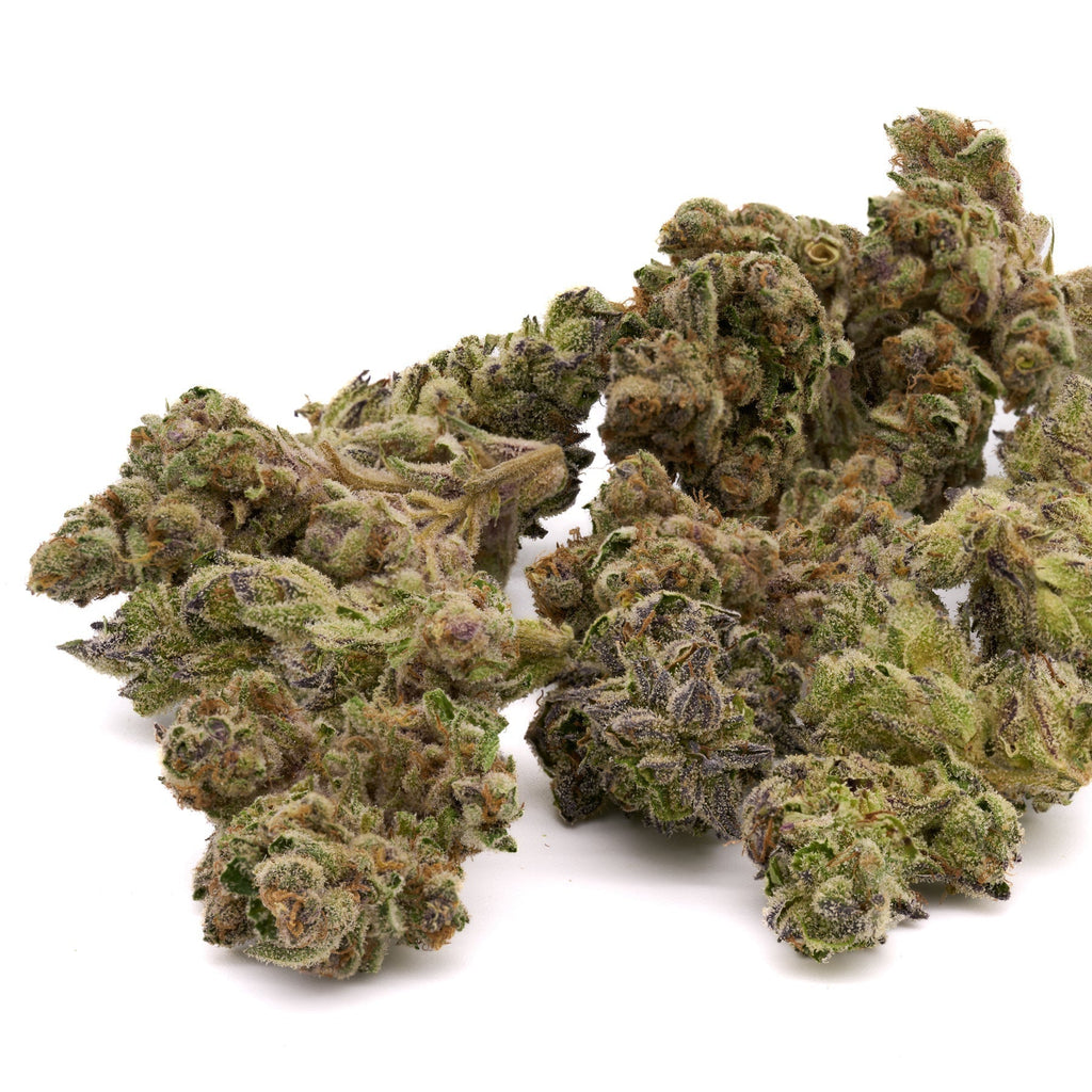 Dantes Inferno THCa Hemp Flower Greenhouse - Plants