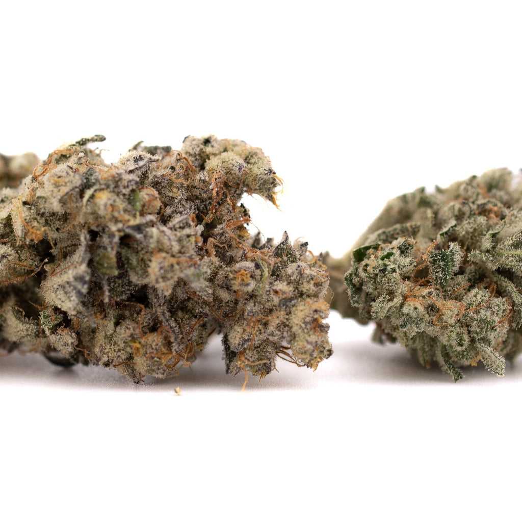 Jelly Breath indoor THCa flower with two cannabis buds showcasing Jelly Breath’s quality