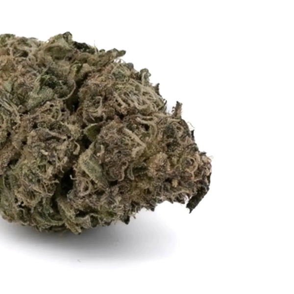 Dense dark green cannabis bud with trichomes and purple hues from Lemon Cherry Gelato hemp flower