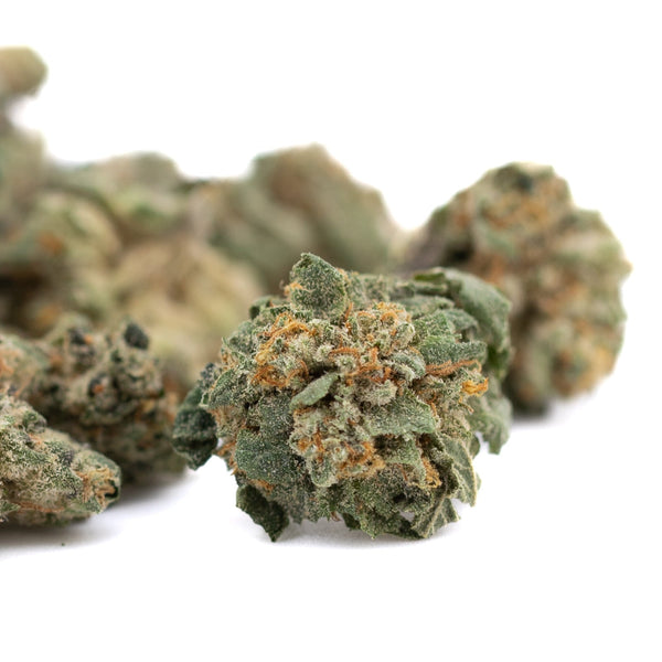 Green and orange cannabis buds from Maria’s Cookies Indoor THCa Flower Smalls