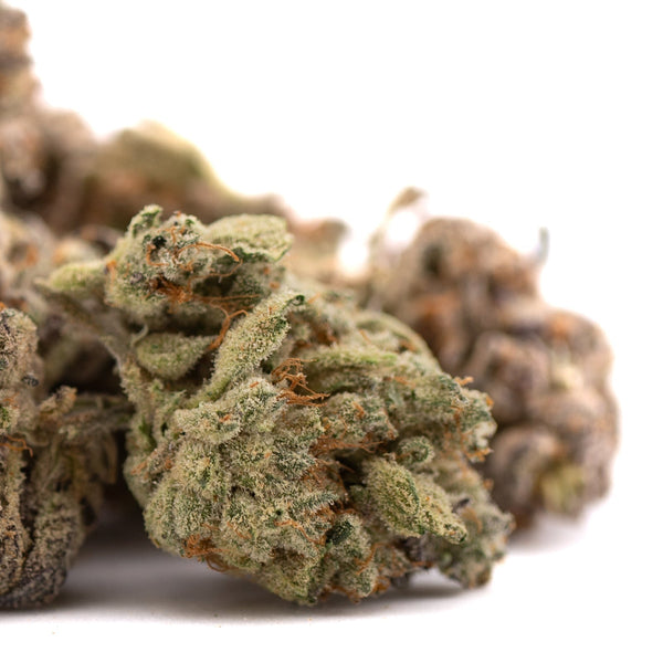 Light green Money Ball THCa Flower hemp buds with orange hairs for premium indoor cannabis